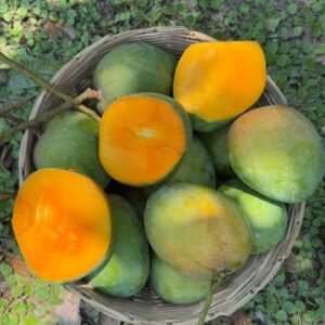 11 কেজি সাতক্ষীরার গোবিন্দভোগ ( কুরিয়ার পয়েন্ট ডেলিভারি )