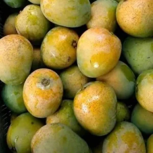 22kg ক্ষীরসাপাত আম (প্যাকেজিং ও হোমডেলিভারি সহ)